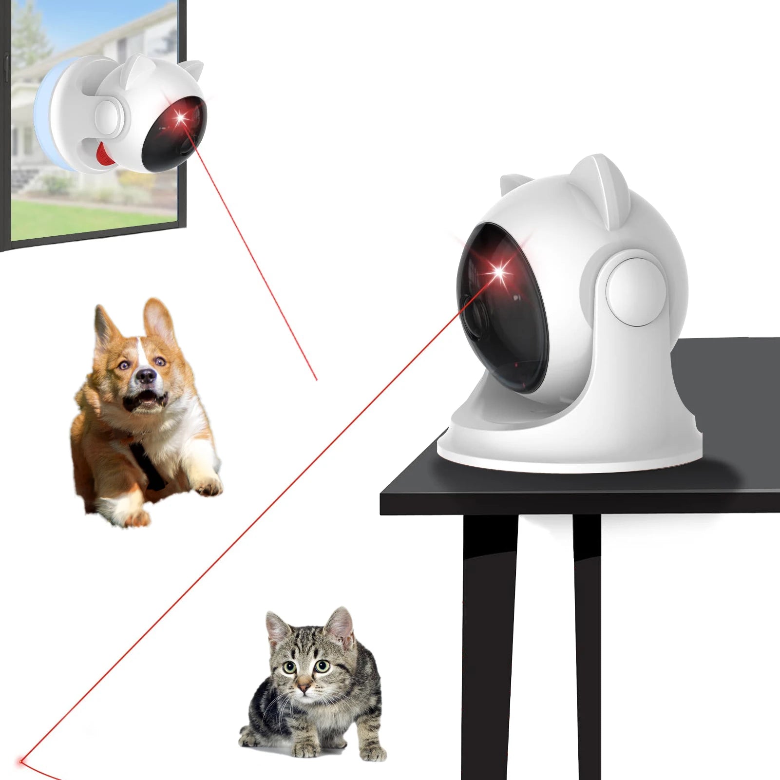 Pet Factory