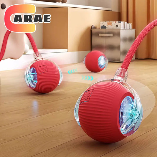 Smart Cat Play Ball™