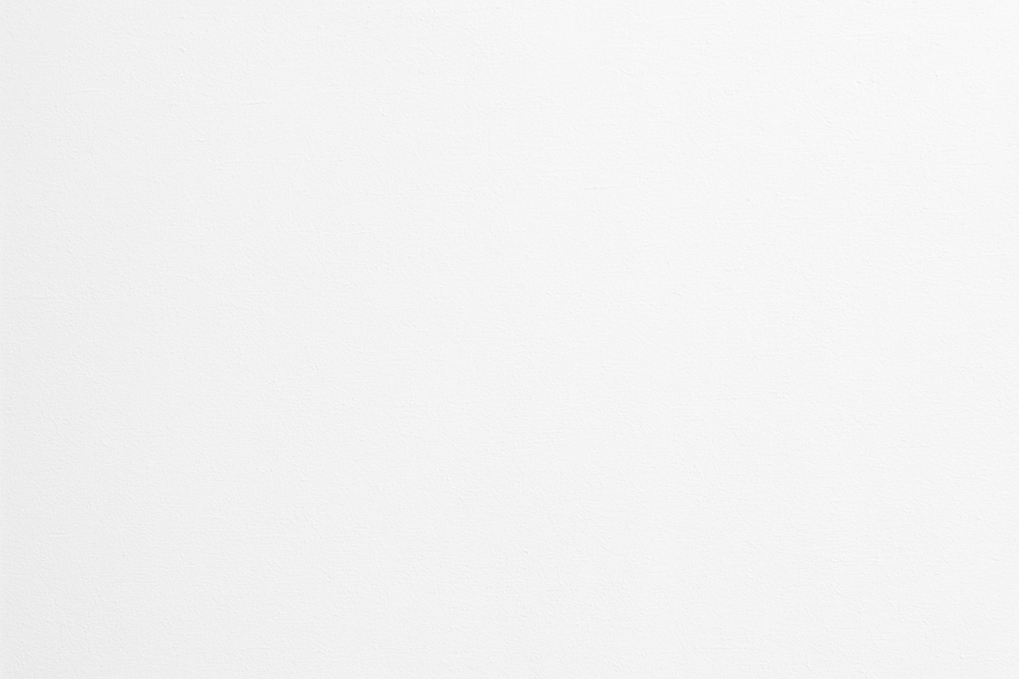 A white, plain background