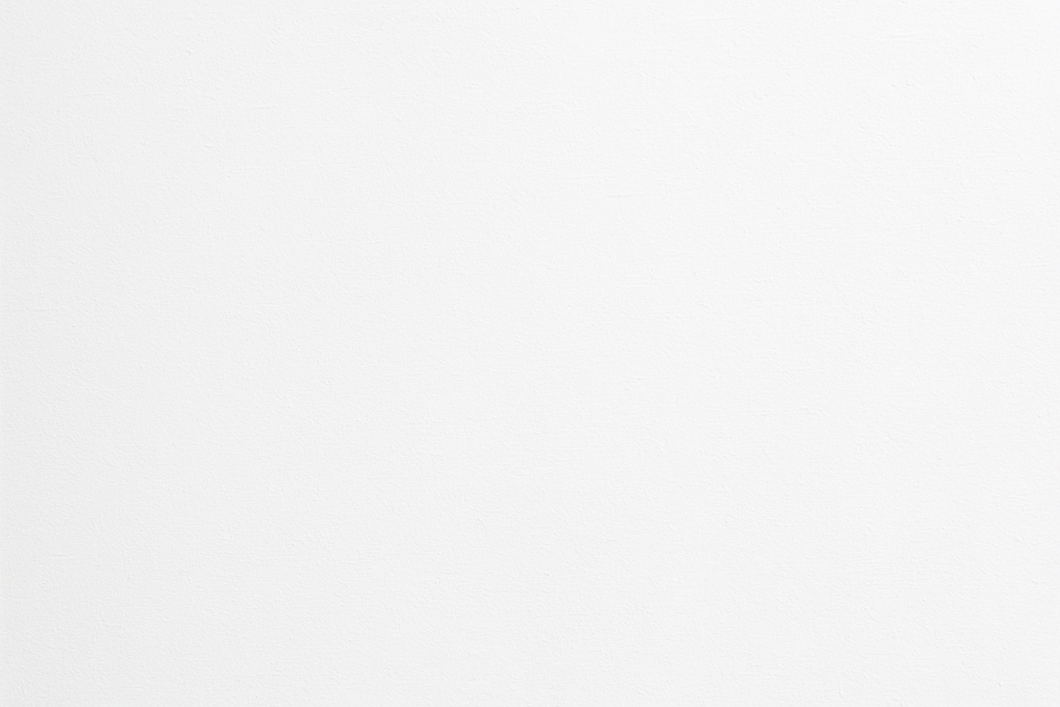 A white, plain background