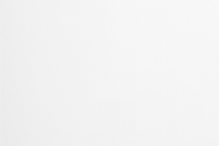 A white, plain background