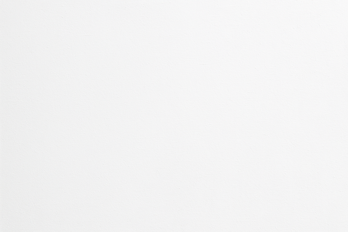 A white, plain background